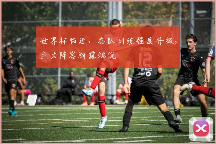 世界杯临近，各队训练强度升级，主力阵容渐露端倪