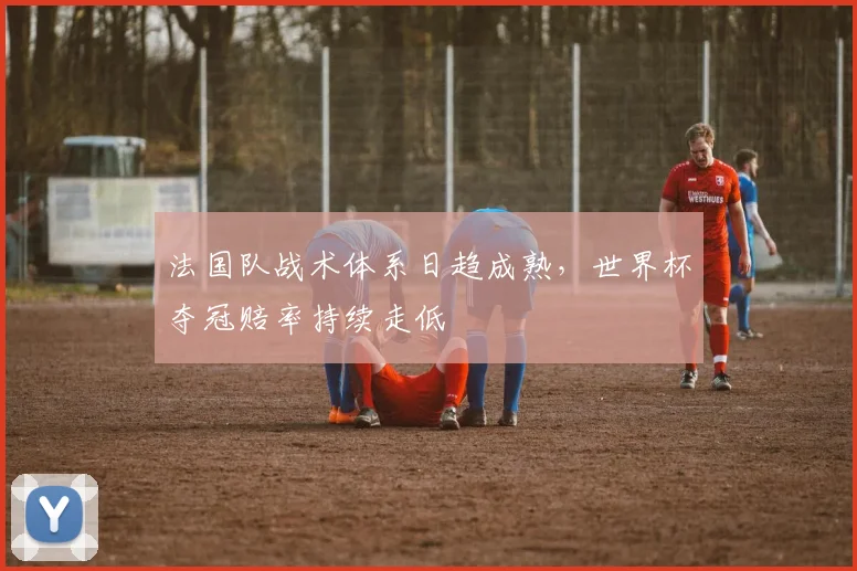 法国队战术体系日趋成熟，世界杯夺冠赔率持续走低