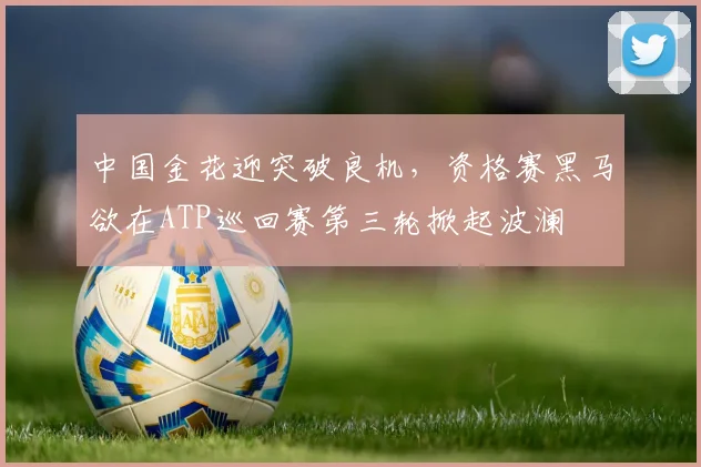 中国金花迎突破良机，资格赛黑马欲在ATP巡回赛第三轮掀起波澜