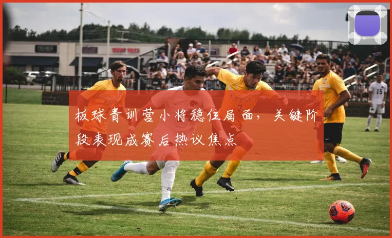 板球青训营小将稳住局面，关键阶段表现成赛后热议焦点